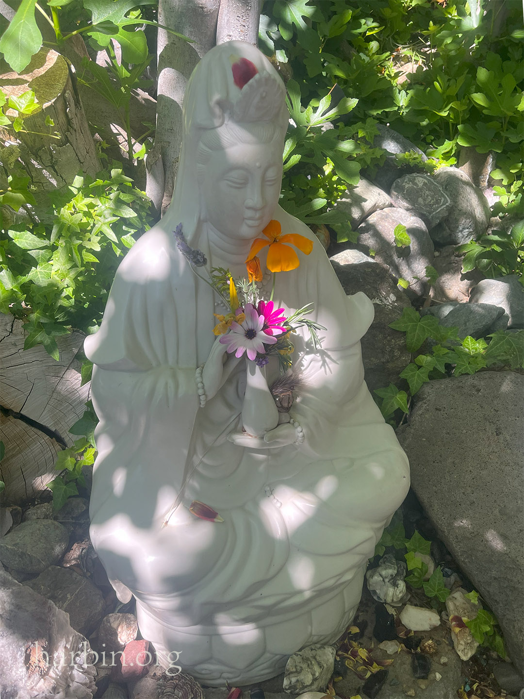 A Quan Yin statue sits in the shade of an fig tree holding flowers in a vase.
